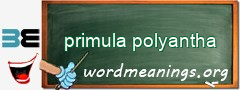 WordMeaning blackboard for primula polyantha